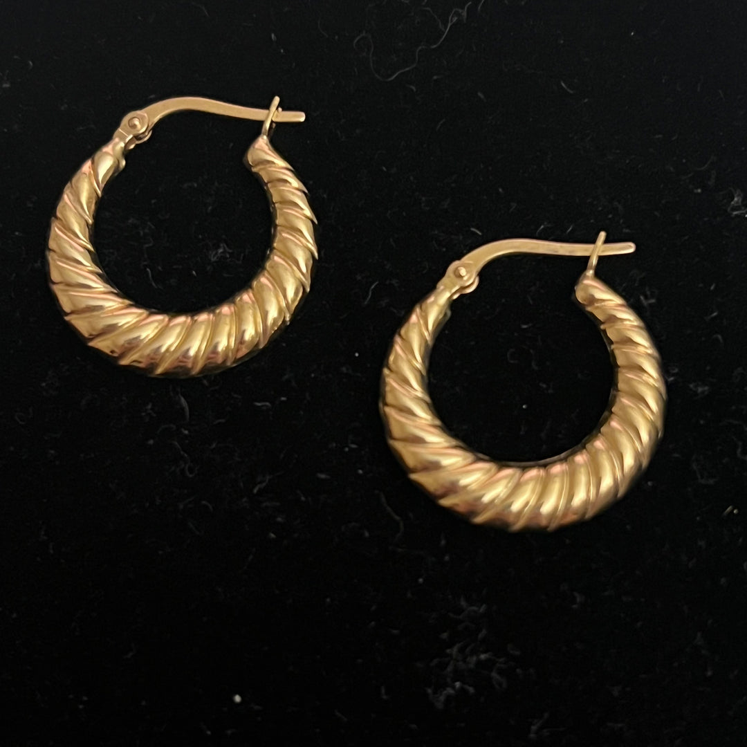 Everyday Shrimp Hoops