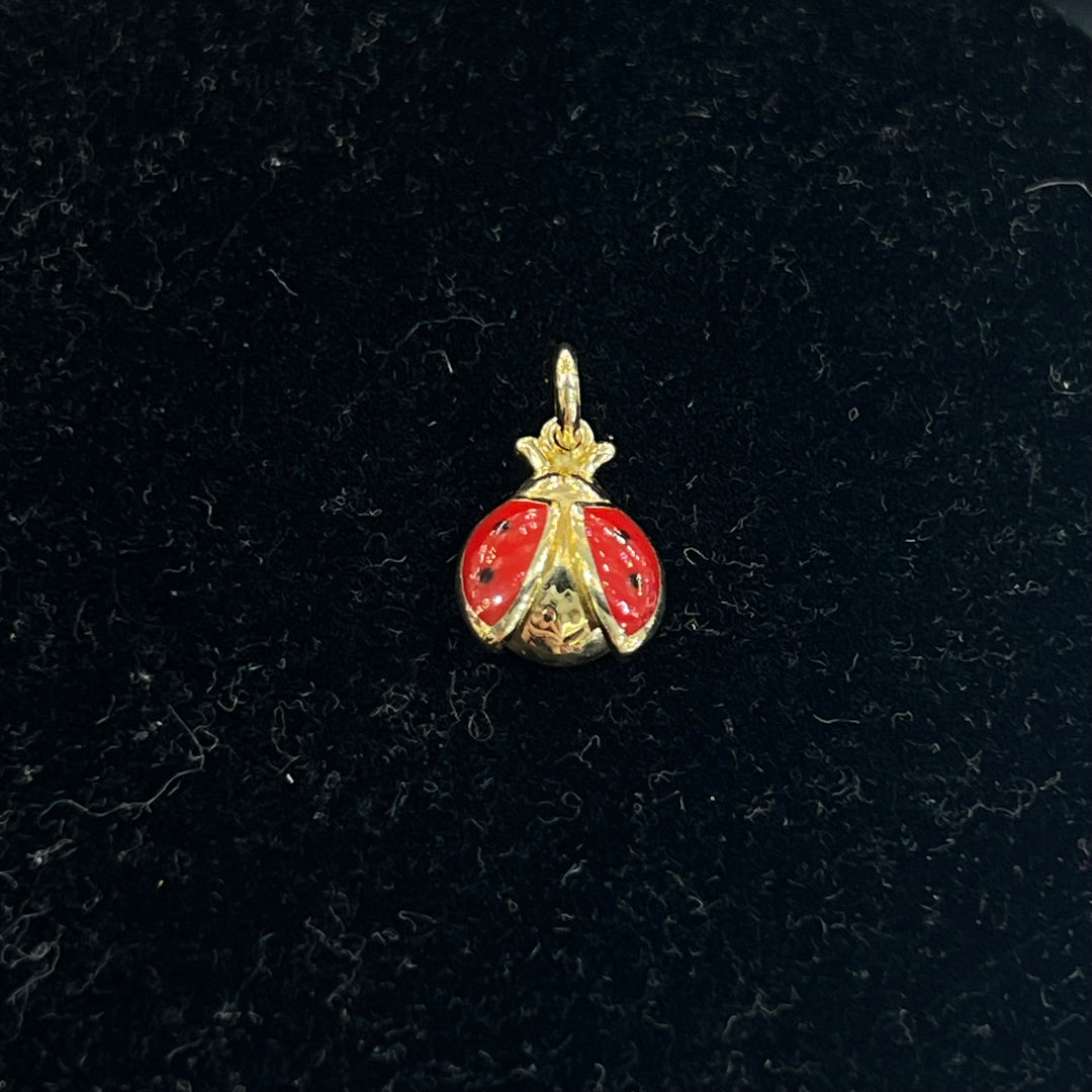 Lucky Ladybug Charm 🐞