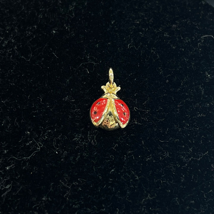 Lucky Ladybug Charm 🐞