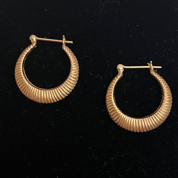 Sunshine Wire Hoops