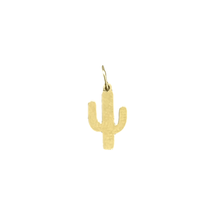 Mini Cactus Charm - Michelle the Jeweler