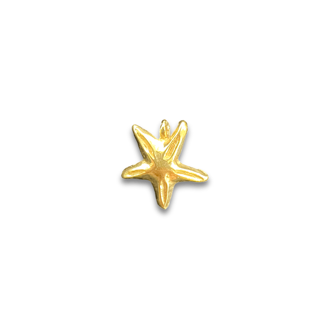 Mini Starfish Charm - Michelle the Jeweler