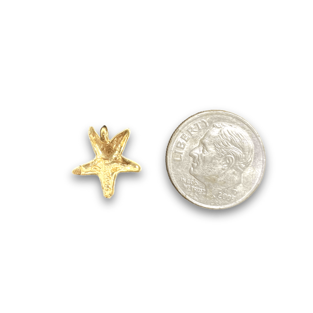Mini Starfish Charm - Michelle the Jeweler